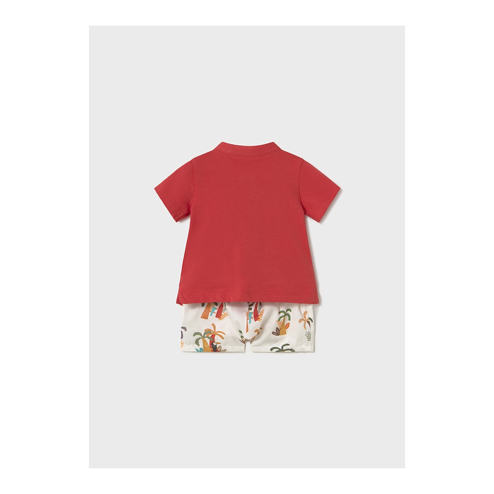 CONJUNTO PANTALON CORTO Y POLO POMELO