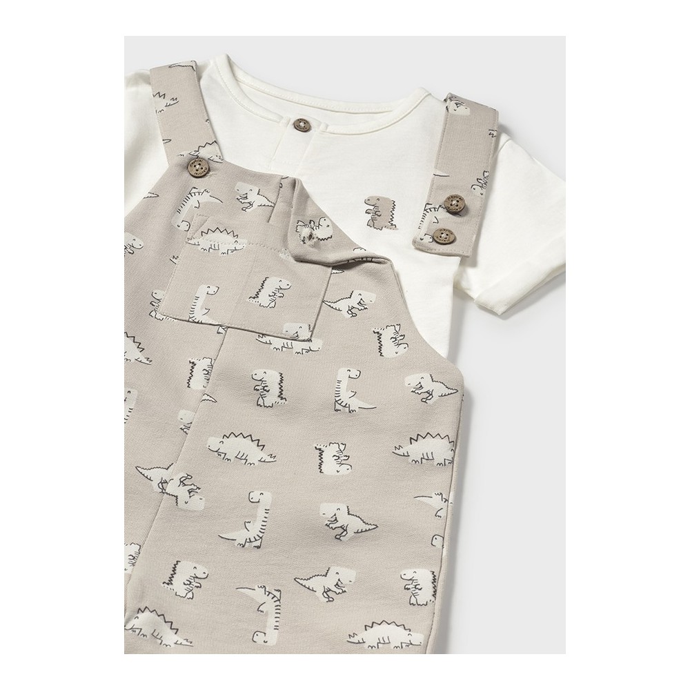 CONJUNTO PETO PUNTO HUESO