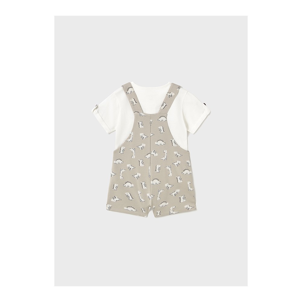 CONJUNTO PETO PUNTO HUESO