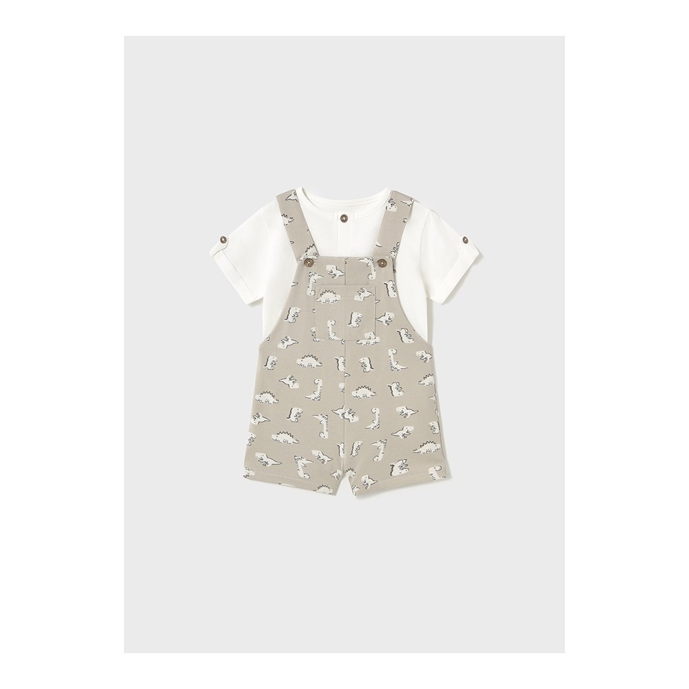 CONJUNTO PETO PUNTO HUESO