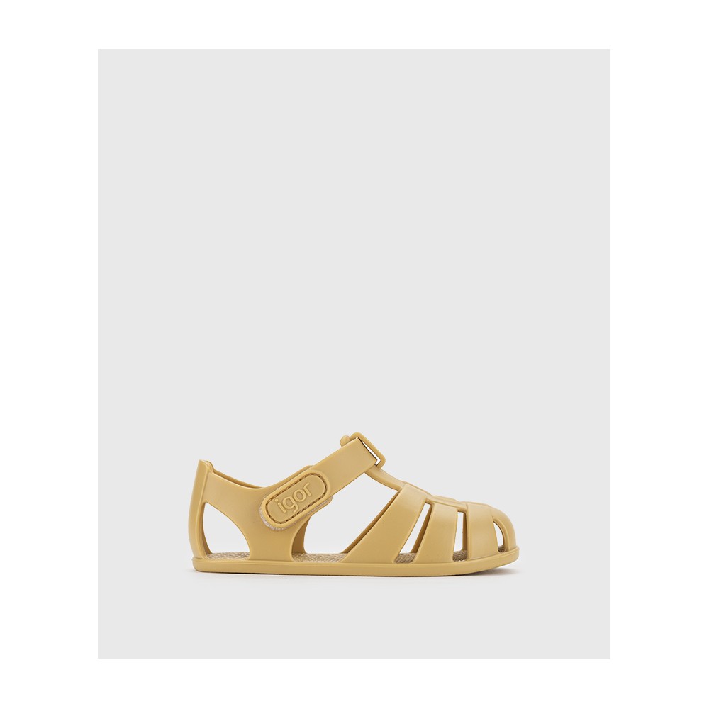 CANGREJERA VELCRO DIJON