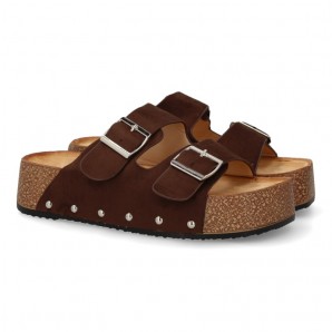 BIO PLATAFORMA BROWN