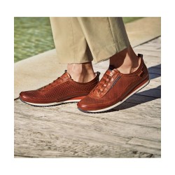 BLUCHER PICADO CUERO