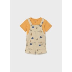 CONJUNTO PETO PUNTO ANACARDO